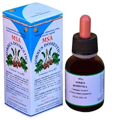 Herboplanet Msa Sorbus Domestica Yemas Serbal Comun 50 ml - Complément Alimentaire Extrait de Plantes Herboplanet Msa Sorbus Domestica Yemas Serbal Comun 50 ml - Complément Alimentaire Extrait de Plantes