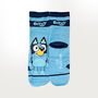 Chaussettes Bluey Multicouleur 164