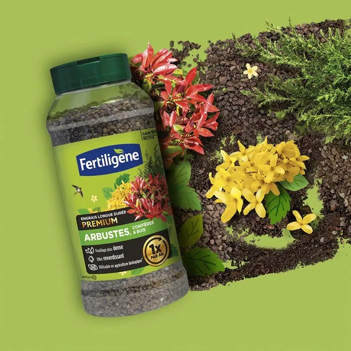 Fertiligene Engrais longue durée premium arbustes conifères et buis 600 g