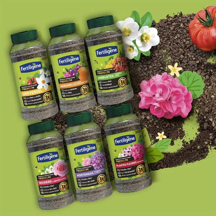 Fertiligene Engrais longue durée premium arbustes conifères et buis 600 g