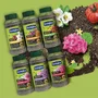 Fertiligene Engrais longue durée premium arbustes conifères et buis 600 g