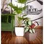 Artevasi Pot de fleurs Siena SWS 30 MA - Plastique résistant aux UV pour intérieur et extérieur - Ø30 x H27 cm (17,5 L) - Blanc
