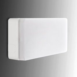 Esera Alumbrado Emergencia LED 110Lm 1 Heure IP44