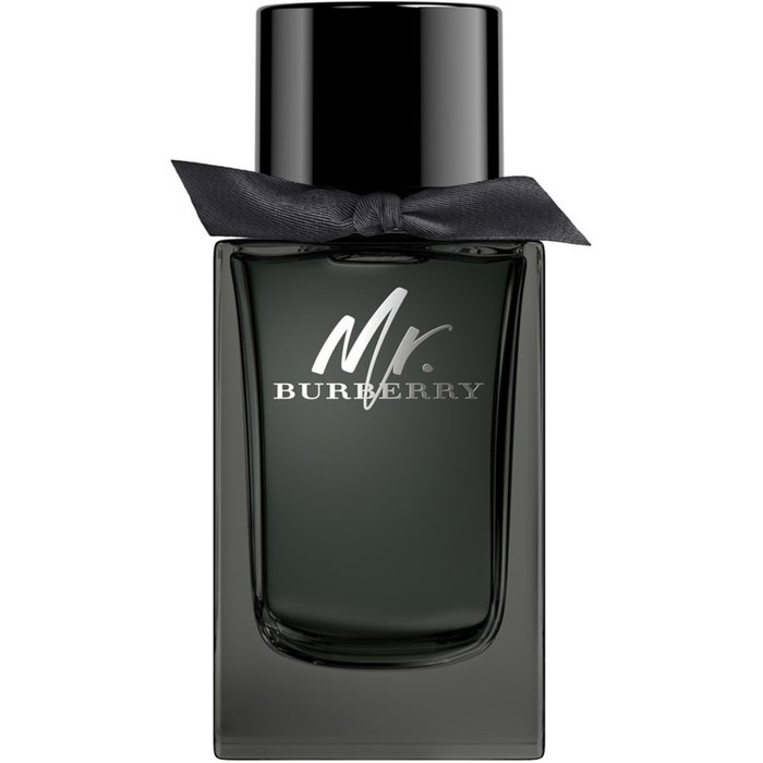 Burberry Mr. Burberry Eau de Parfum 100 ml