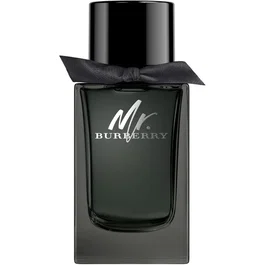 Burberry Mr. Burberry Eau de Parfum 100 ml