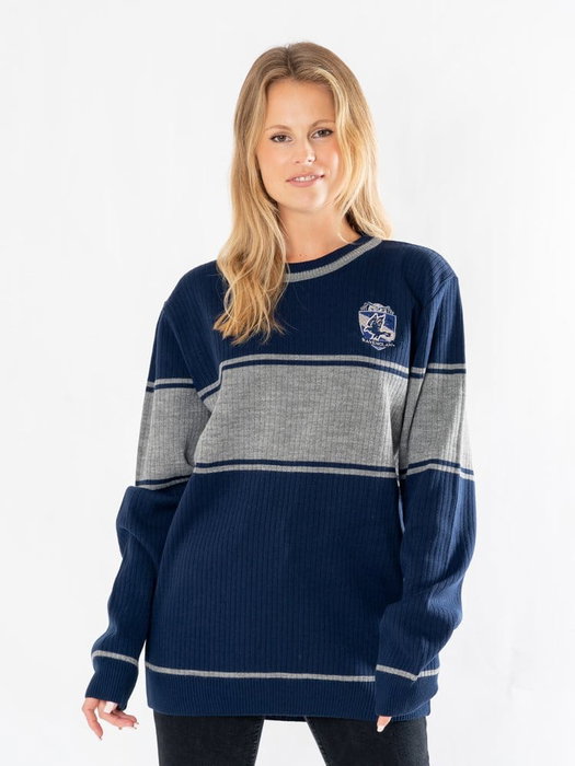 Harry Potter sweater Ravenclaw (S)