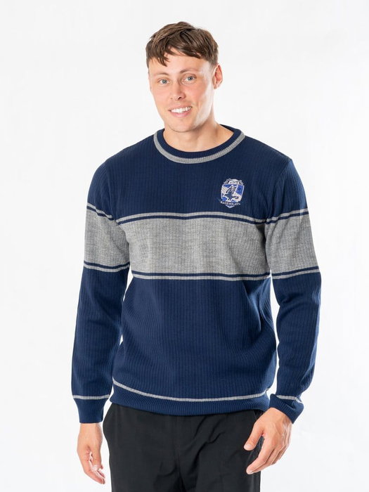 Harry Potter sweater Ravenclaw (S)