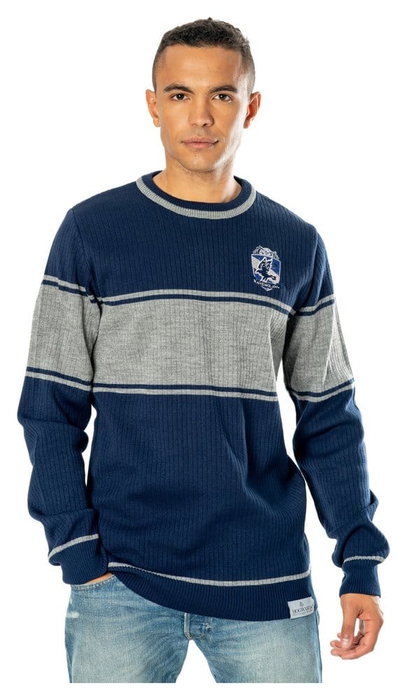 Harry Potter sweater Ravenclaw (S)
