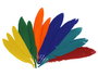 Innspiro Plumes d'indien mix de couleurs 36 pièces