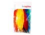 Innspiro Plumes d'indien mix de couleurs 36 pièces