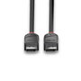 Lindy Câble DisplayPort 1.2 Black Line - 2m - Triple blindage - Support 4K UHD (4096x2160) 60Hz, Audio 32 canaux et Dolby True HD