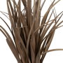 BigBuy Home Plante décorative PVC Acier Ciment 10 x 10 x 9 cm 61 cm