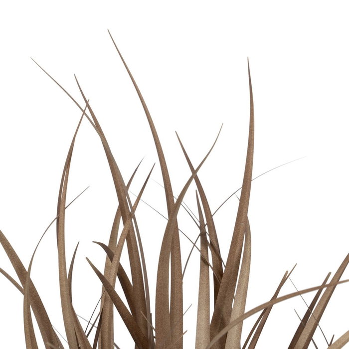 BigBuy Home Plante décorative PVC Acier Ciment 10 x 10 x 9 cm 61 cm BigBuy Home Plante décorative PVC Acier Ciment 10 x 10 x 9 cm 61 cm