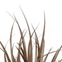 BigBuy Home Plante décorative PVC Acier Ciment 10 x 10 x 9 cm 61 cm