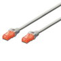 Ewent Câble Réseau Rigide UTP Cat6 10m Gris