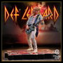 Def Leppard statuette Rock Iconz Rick Savage 24 cm