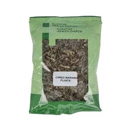 PLAMECA Cardo mariano plante triturée 40 g