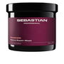 Sebastian Professionals Penetraitt Masque Revitalisant et Réparateur pour Cheveux Abîmés - Soin Intense pour Douceur et Éclat - Flacon 500 ml