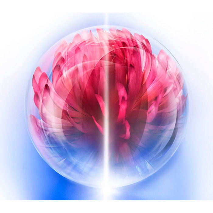 Shiseido Crème BIO-PERFORMANCE HIFORCE Peau Régénérante 50 ml