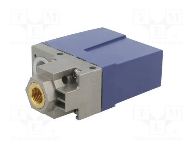 TELEMECANIQUE SENSORS Module d’automatisation pressostat 10÷160bar G1/4″ TELEMECANIQUE SENSORS Module d’automatisation pressostat 10÷160bar G1/4″