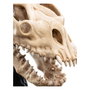 Le Seigneur des Anneaux statuette Skull of a Fell Beast 21 cm