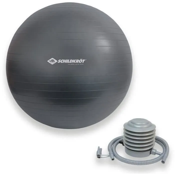 SCHILDKRÖT Ballon d'exercice et de Yoga pour fitness, Diamètre 75 cm avec Pompe SCHILDKRÖT Ballon d'exercice et de Yoga pour fitness, Diamètre 75 cm avec Pompe