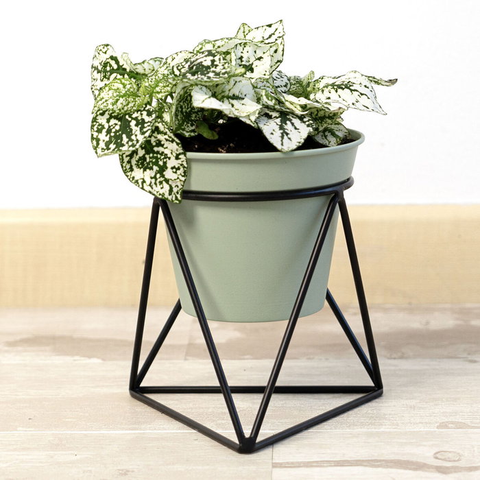 Vinthera Moa Pot de fleurs avec support Vert Métal (12 Unités) Vinthera Moa Pot de fleurs avec support Vert Métal (12 Unités)