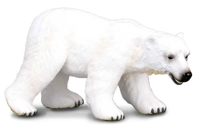 Collecta Oso Polar - L - 88214 - Figurine Ours Polaire en Plastique - Réplique Réelle à Échelle - Peinte à la Main - Modélisée en Détail - +3 Ans Collecta Oso Polar - L - 88214 - Figurine Ours Polaire en Plastique - Réplique Réelle à Échelle - Peinte à la Main - Modélisée en Détail - +3 Ans