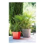 Colorant Universel Pot de fleur Toscane Carré Taupe 87L