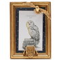 WIDDOP & CO Marco fotos Hedwig Harry Potter