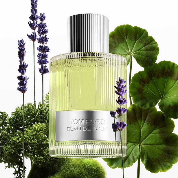 Tom Ford Beau De Jour Eau de Parfum 100 ml - Parfum pour Homme
