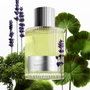 Tom Ford Beau De Jour Eau de Parfum 100 ml - Parfum pour Homme