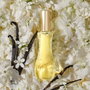 Giorgio Beverly Hills Yellow Eau de Toilette 50 ml