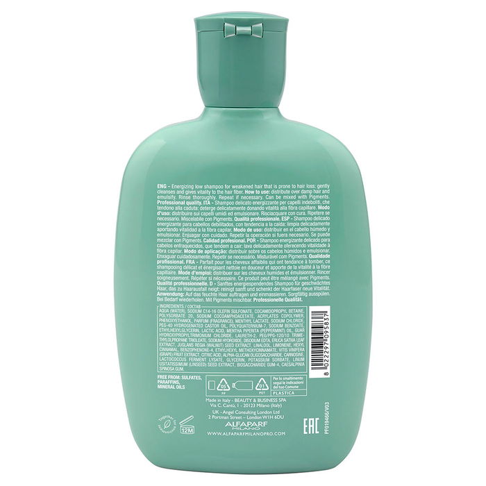 Alfaparf Milano Semi Di Lino Scalp Renew Energizing Shampooing Revitalisant Cheveux et Cuir Chevelu 250 ml
