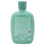 Alfaparf Milano Semi Di Lino Scalp Renew Energizing Shampooing Revitalisant Cheveux et Cuir Chevelu 250 ml