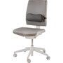 Fellowes Breyta Lumbar Cushion Noir