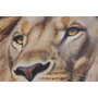 Home ESPRIT Toile Lion Urbaine Laqué Bleu ciel (Lot de 2)