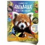 Panini Pack de démarrage Animaux 2025 - Album + 3 pochettes et 15 stickers