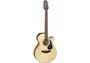 Takamine GF30 E/A Folk Cutaway - Natural