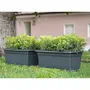 Stefanplast Bac à Fleurs Rectangulaire MEDITERRANEO 110L - 100x45x40 cm - Plastique Anthracite - Jardinière avec Perçage