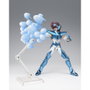 Tamashii Nations Pegasus Seiya Final Bronze Cloth Original Color Edition