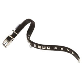 Ferplast Collier Dual CF15 35 Noir