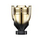 Paco Rabanne Invictus Elixir Parfum Pour Hommes 100 ml