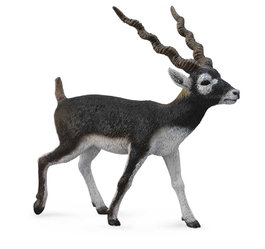 COLLECTA Antilope au cou noir (Sasin) - Échelle L