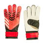 Gants de Gardien de But Adidas IW6276 Adultes