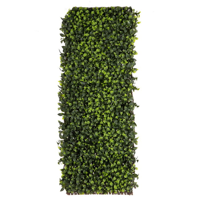 BigBuy Garden Treillis Natural Lierre osier Bambou 2 x 200 x 100 cm BigBuy Garden Treillis Natural Lierre osier Bambou 2 x 200 x 100 cm
