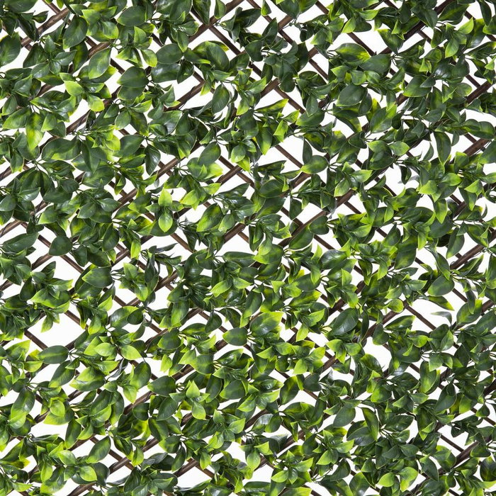 BigBuy Garden Treillis Natural Lierre osier Bambou 2 x 200 x 100 cm BigBuy Garden Treillis Natural Lierre osier Bambou 2 x 200 x 100 cm