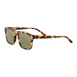 Serengeti Charlton lunettes de soleil marron et verres verts