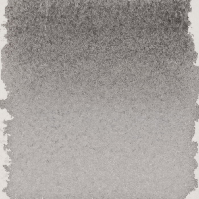 Talens | Pantone Encre pour marqueur Cool Gray 5, 30 ml Talens | Pantone Encre pour marqueur Cool Gray 5, 30 ml