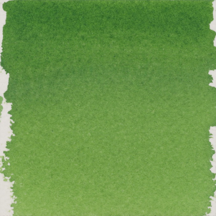 Talens | Pantone Encre pour marqueur teinte 361, 30 ml